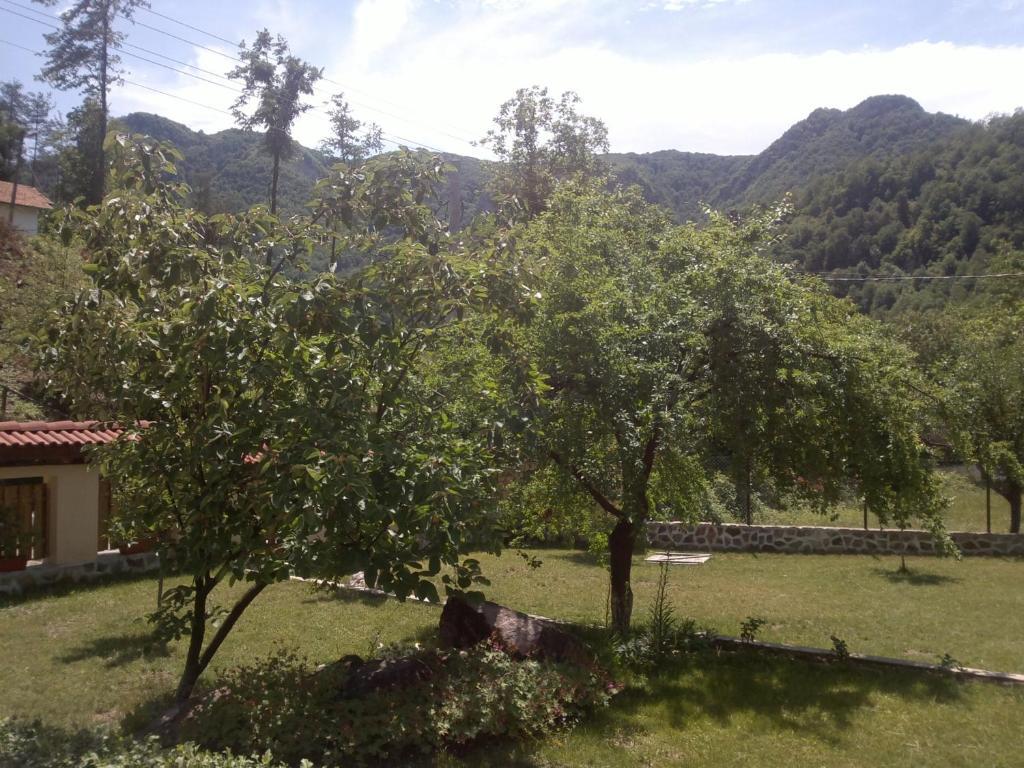 Villa Nanevi Tetewen Zewnętrze zdjęcie