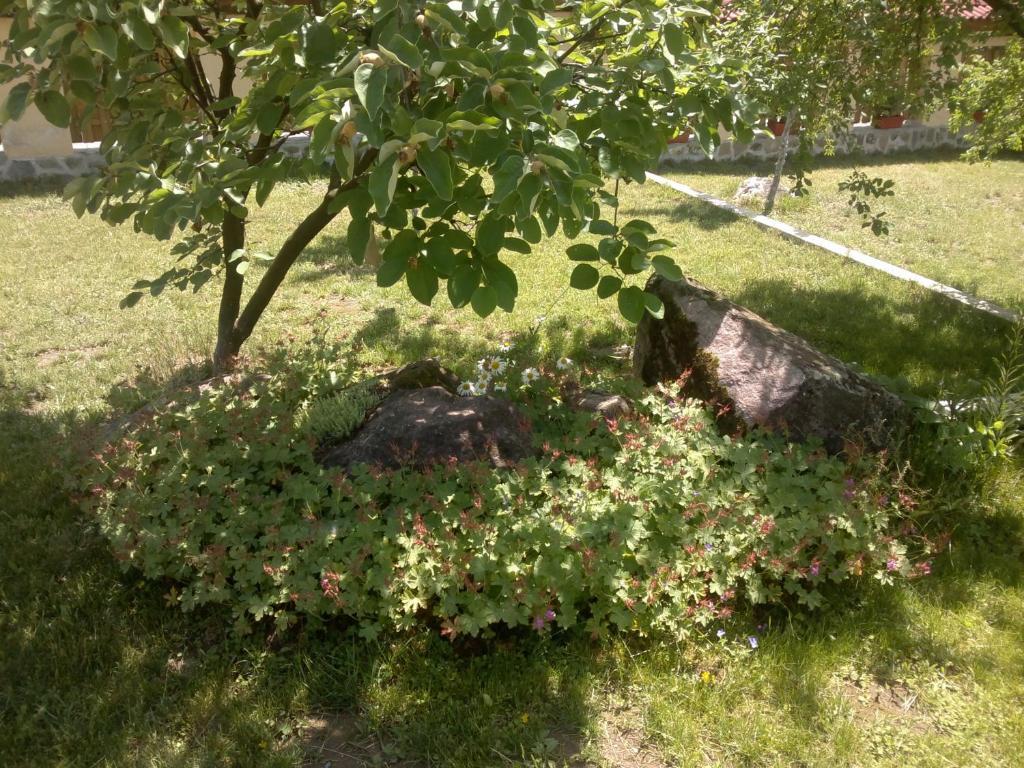 Villa Nanevi Tetewen Zewnętrze zdjęcie